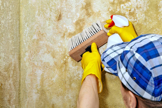 Mold Exposure & Symptoms